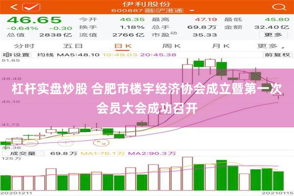 杠杆实盘炒股 合肥市楼宇经济协会成立暨第一次会员大会成功召开