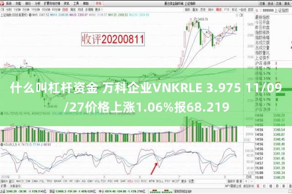 什么叫杠杆资金 万科企业VNKRLE 3.975 11/09/27价格上涨1.06%报68.219