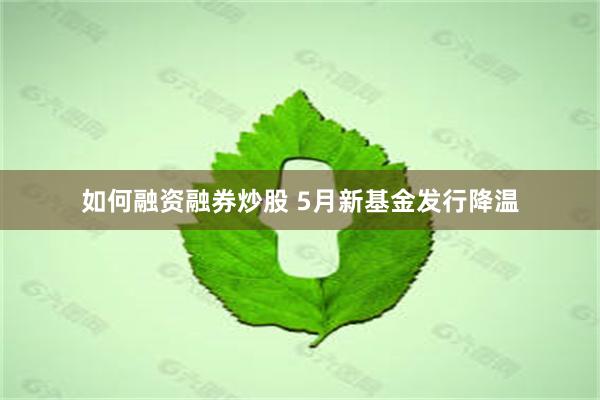 如何融资融券炒股 5月新基金发行降温