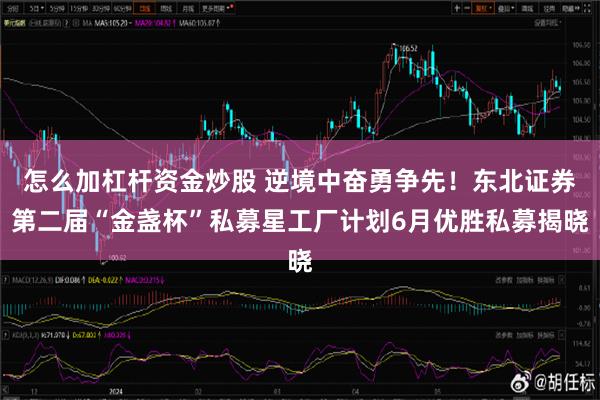 怎么加杠杆资金炒股 逆境中奋勇争先！东北证券第二届“金盏杯”私募星工厂计划6月优胜私募揭晓