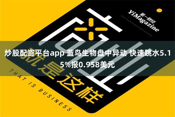 炒股配资平台app 蓝鸟生物盘中异动 快速跳水5.15%报0.958美元