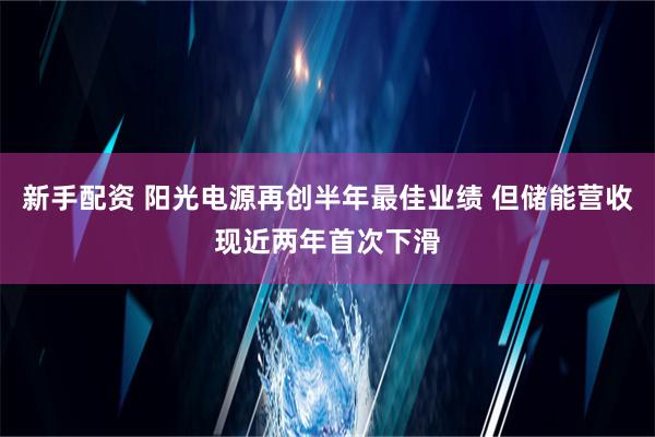 新手配资 阳光电源再创半年最佳业绩 但储能营收现近两年首次下滑