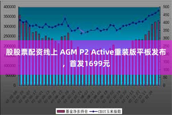 股股票配资线上 AGM P2 Active重装版平板发布，首发1699元