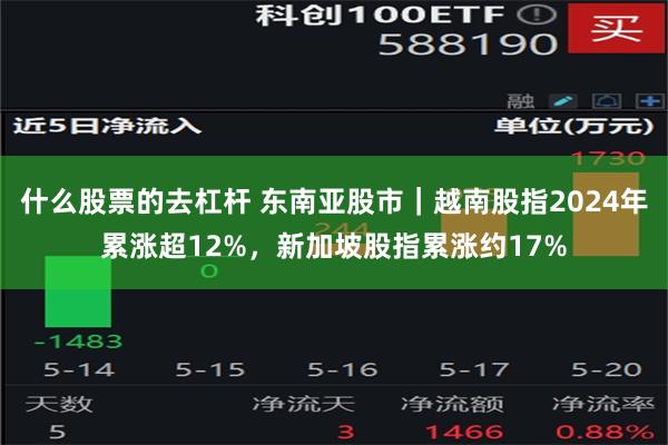 什么股票的去杠杆 东南亚股市｜越南股指2024年累涨超12%，新加坡股指累涨约17%