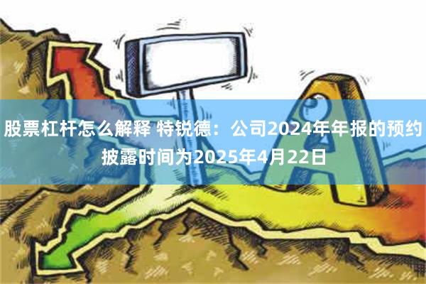 股票杠杆怎么解释 特锐德：公司2024年年报的预约披露时间为2025年4月22日